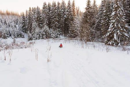 Winter landscape. Man in red jacket rides mountain.の写真素材