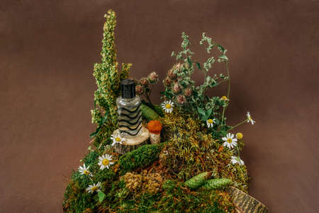 Bottle with lotion, sustainable design with moss.の写真素材