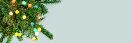 Fir tree branches on blue backgrund. Top view.の写真素材