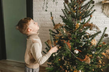 Happy little boy and Christmas tree, natural decor.の写真素材