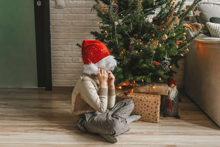 Little boy and Christmas tree, natural decor.の写真素材