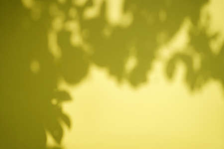 Shadow of leaf tree on yellow background. Sun day. Overlay, copy space.の写真素材
