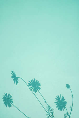 Shadow of flowers on blue background. Sun day. Overlay, copy space, vertical.の写真素材