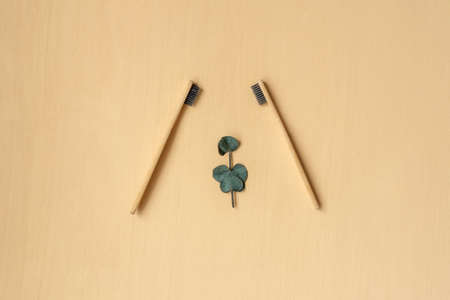 Zero-waste, biodegradable bamboo toothbrush on a beige background with green leaf. Like rabbit face.の写真素材