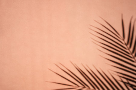 Palm leaves shadows on brown background. Copy space, summer concept. Selective focus.の写真素材