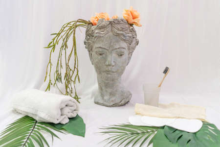 Zero waste supplies for personal hygiene, gypsum head.の写真素材