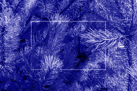 Violet fir tree texture background.の写真素材