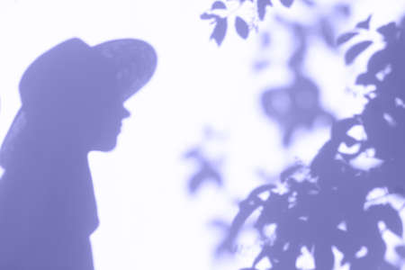Woman in hat shadow and leaves. Purple.の写真素材