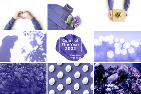 Collage from photos, purple violet trendy colors 2022.の写真素材