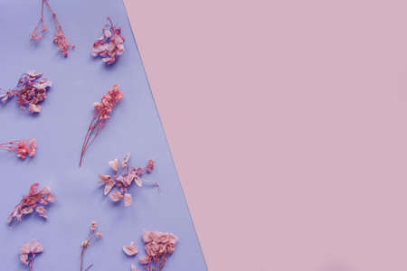 Floral pattern from dried flowers on purple.の写真素材