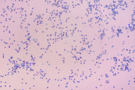 Pink background with small purple holographic sparkles.の写真素材