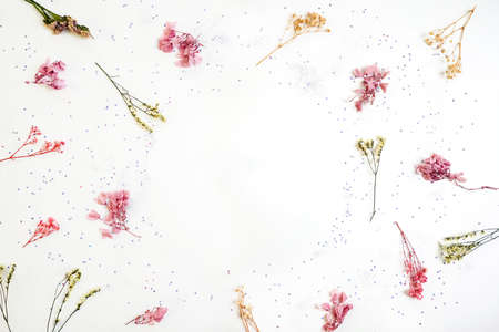 Floral pattern from dried flowers on white.の写真素材