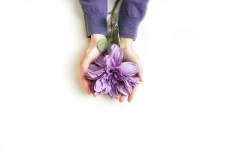 Big single Purple flower in womans hands.