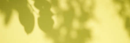 Shadow of tree foliage on yellow background.の写真素材