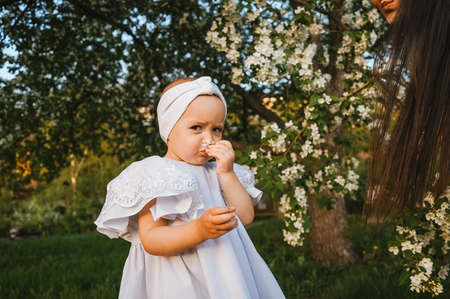 Little girl smells flower, apple tree on background.の写真素材