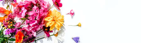Flowers composition on white background with copy space.の写真素材