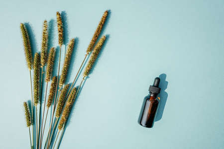 Face serum bottle on blue background. Ears of grass near bottle like decoration. Top view, flat lay.の写真素材