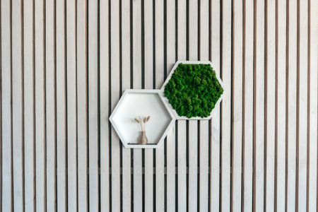 White wooden hexagon shelf with green moss and vase on wooden wall. Design in cafe, apartment.の写真素材