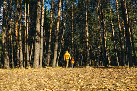 Father and son walking in autumn forest. Rear view from afar.