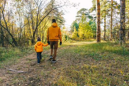 Father and son walking in autumn forest. Rear view.の写真素材