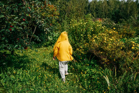 Child in garden, rear view. Full length. Yellow and green colors.の写真素材