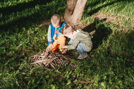 boys collect sticks in the park to play in a hut or a bonfireの写真素材