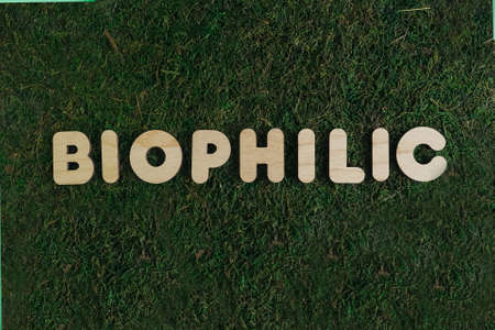 Words BIOPHILIC on green moss background. Eco friendly concept.の写真素材