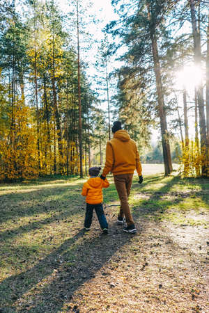 Father and son walking in autumn forest. Sunny day, rear view.の写真素材