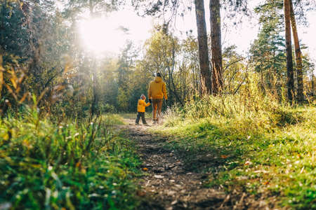 Father and son walking in autumn forest. Sunny day, rear view.の写真素材