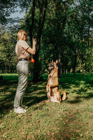 Woman with dog in park on the walk. Sunny summer day.の写真素材