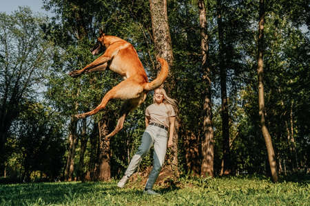 Woman play with dog in park. Sunny summer day. Dog is jumping.の写真素材