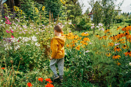 Child smell the fragrance of flowers. Rear view.の写真素材