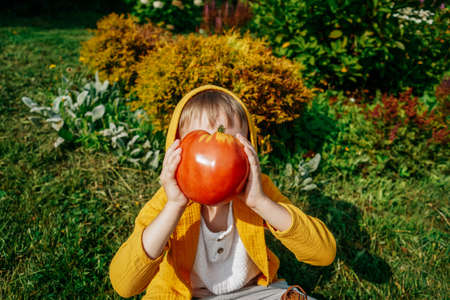 Boy with big red tomato before face.の写真素材