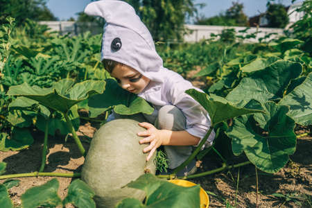 Little Boy in Halloween ghost costume. Garden.の写真素材