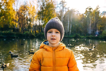 Little boy feed ducks on the lakeの写真素材