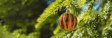 Red golden christmas ball hanging on a branch. Decorations on the christmas tree. Christmas and new year concept. Web banner.の写真素材