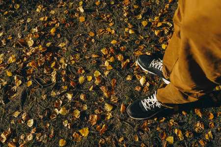 Men's legs in black sneakers and brown pants against the background of autumn foliage. View from above.の写真素材