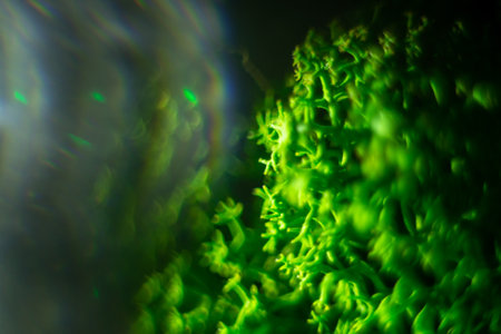 St. Patrick day green background with blur.の写真素材