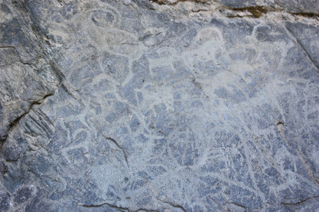 Rock paintings of ancient people, Altai, the river Kucherla