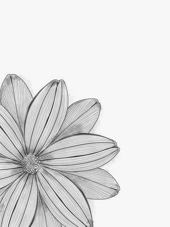 Abstract hand drawn floral illustration with anemone flowers. Element for design.の写真素材