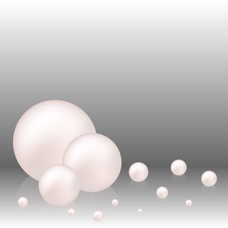 Several mother-of-pearls on a gray background. Abstract wind design. Background with pearls, decoration.のイラスト素材