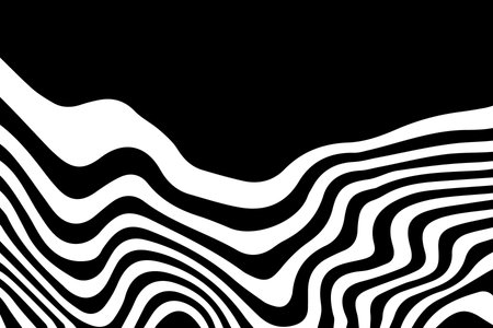 Abstract wave vector background. Stylized black White illusion. Modern graphic line art.のイラスト素材
