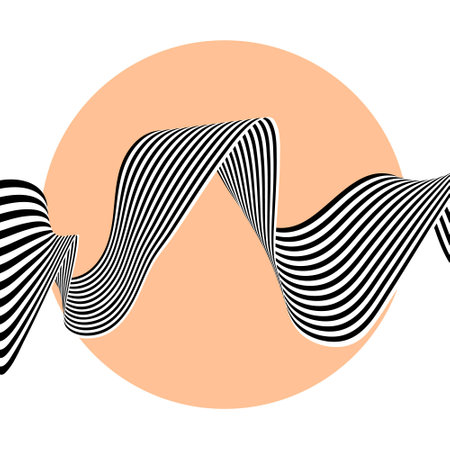 Abstract black and white wave on the background of an orange circle.
