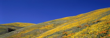 panoramaの写真素材