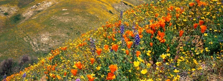 panoramaの写真素材