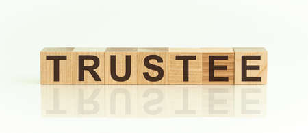 TRUSTEE - word from wooden blocks with letters, front view on white background. Mirror image of the...