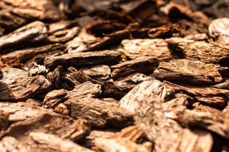 Wood chips for landscaping in the gardens. Ecological background.The land dotted with pine bark. It can be used as a background, a texture to a photo editor for your text to your design.の写真素材