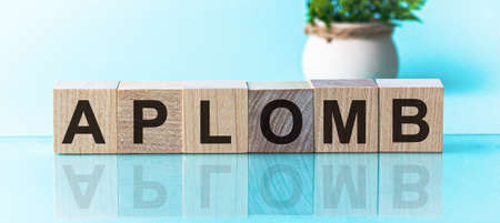 APLOMB word made with building blocks, blu backgroundの写真素材