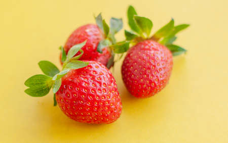 Three strawberries close up on yellow background.の写真素材