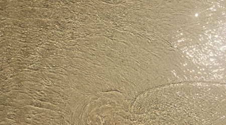Photographed in a gentle sea wave. Lots of free space for your concept. Concept of recreation
